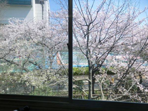 楽屋桜2.jpg