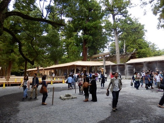 P9290264.jpg